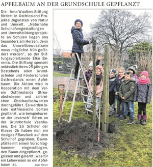 Read more about the article Apfelbaum für GS Veenhusen